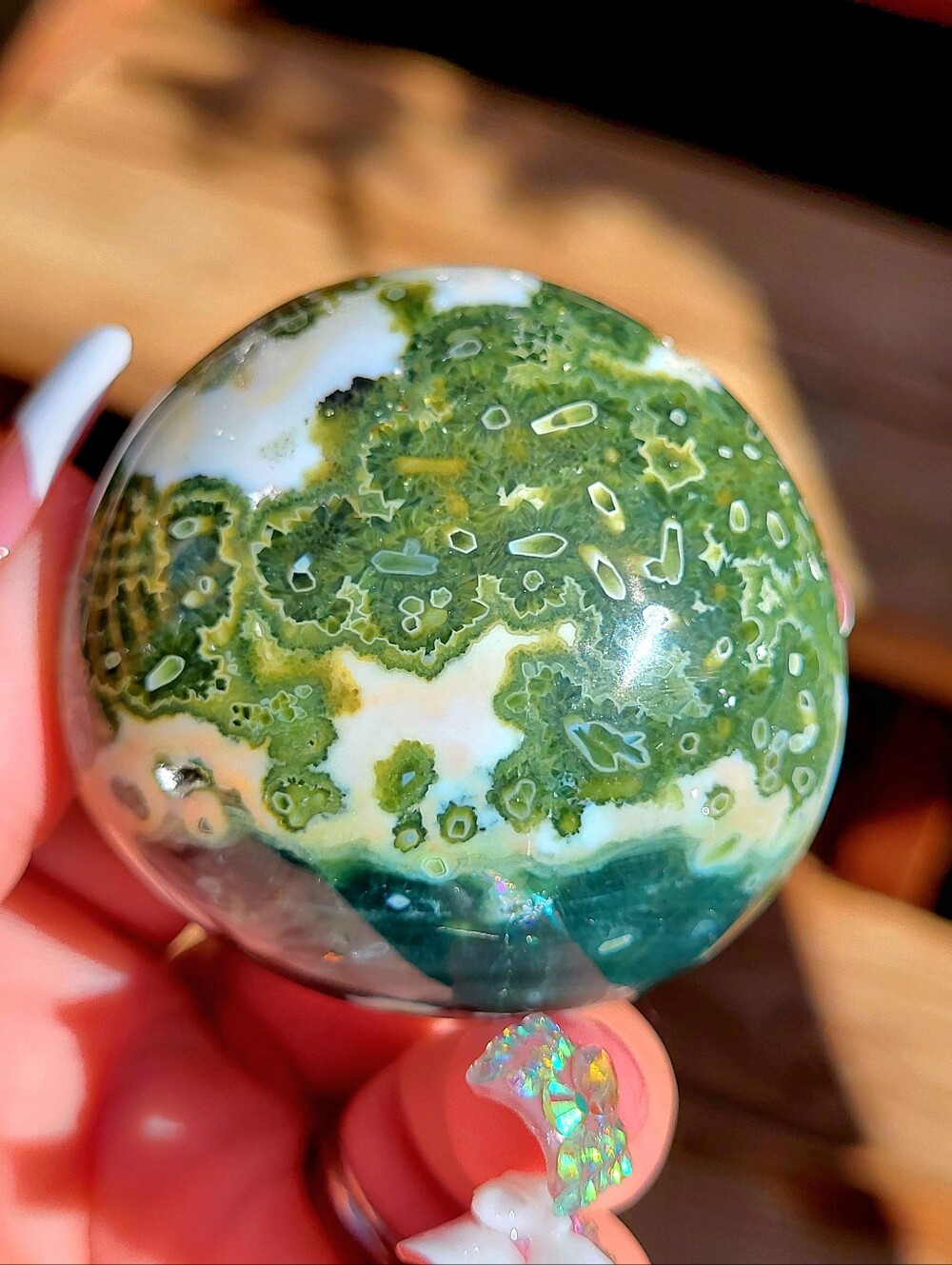 Ocean Jasper Palm